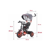 Gyerek háromkerekű bicikli Toyz Buzz red