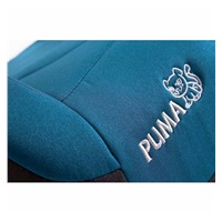 Autós ülésmagasító CARETERO Puma Isofix cherry
