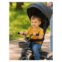 Gyerek tricikli Baby Mix 5az1-ben RELAX 365° szürke