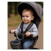 Gyerek tricikli Baby Mix 5az1-ben RELAX 365° szürke