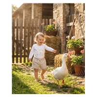 Baba body nyomtatással New Baby Libák - rövid ujjú