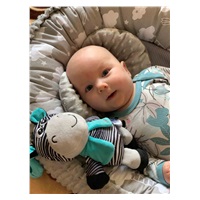 Fejlesztő zenélő játék Baby Mix zebra