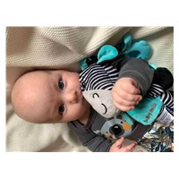 Fejlesztő zenélő játék Baby Mix zebra