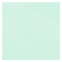 Muszlin gyermek pléd New Baby 70x100 cm mint